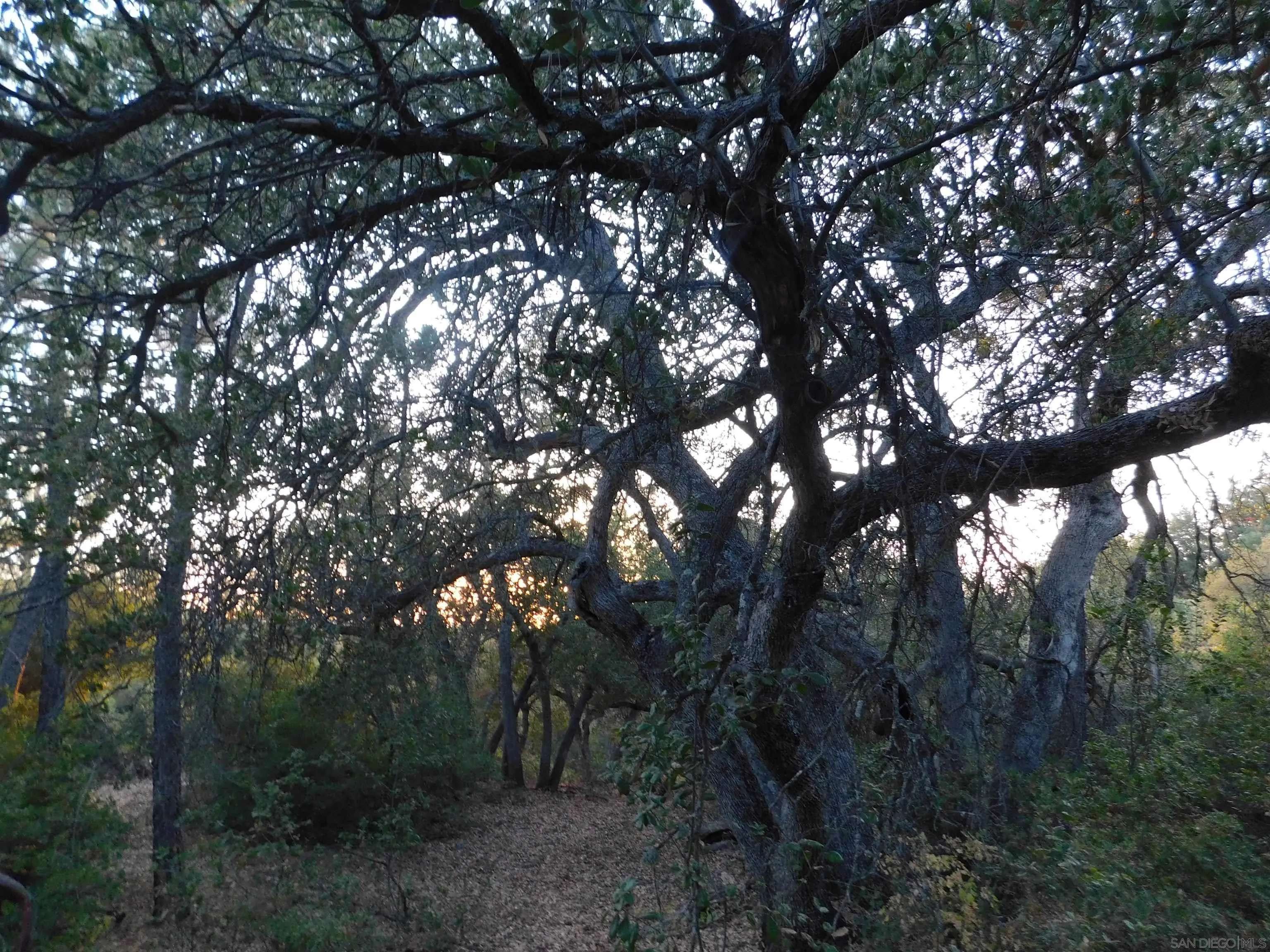 Julian, CA 92036,0 Pine Hills Rd #Pm03064 Par 3