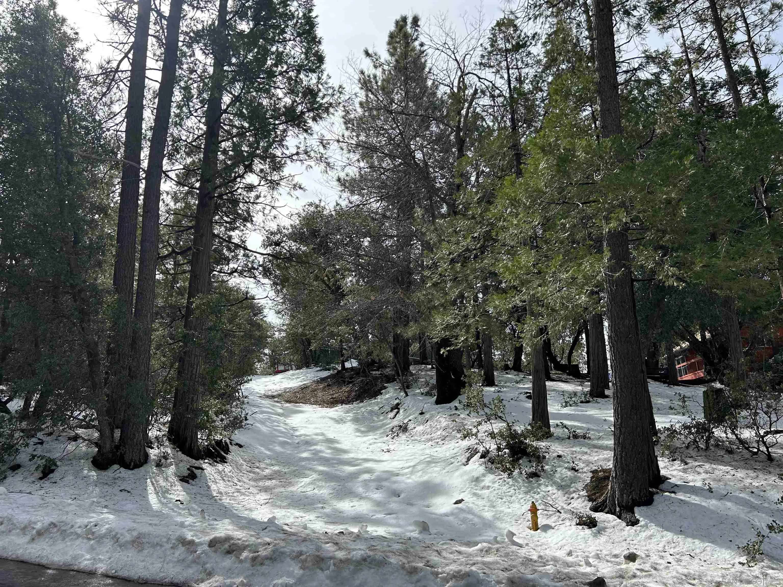 Idyllwild, CA 92549,Lot 8 Saunders Meadow Rd #8