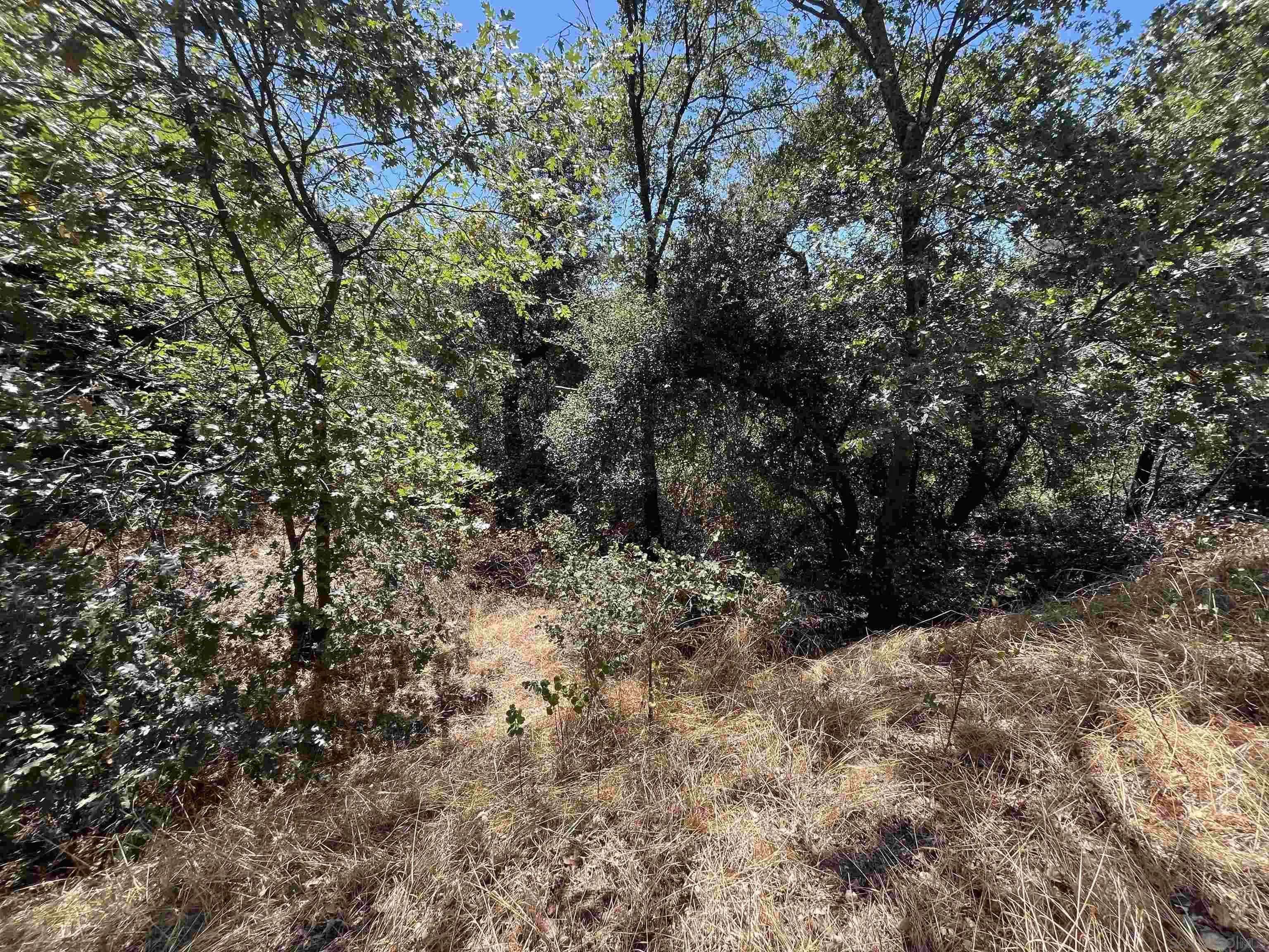 Julian, CA 92036,000 Whispering Pines Drive #186