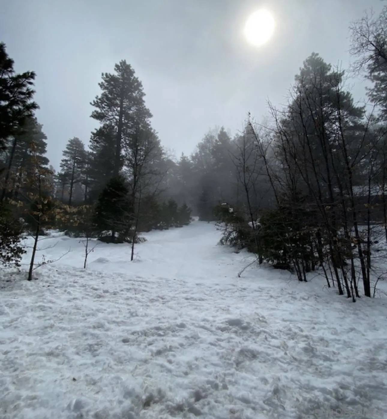 Pine Cove Idyllwild, CA 92549,0 Laurel Trail Lot #7