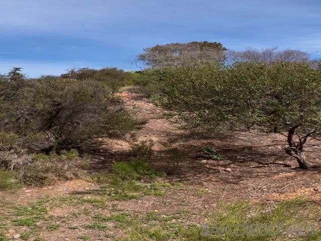 San Diego, CA 92115,4600 Collwood Lane #TR 5772 PAR A