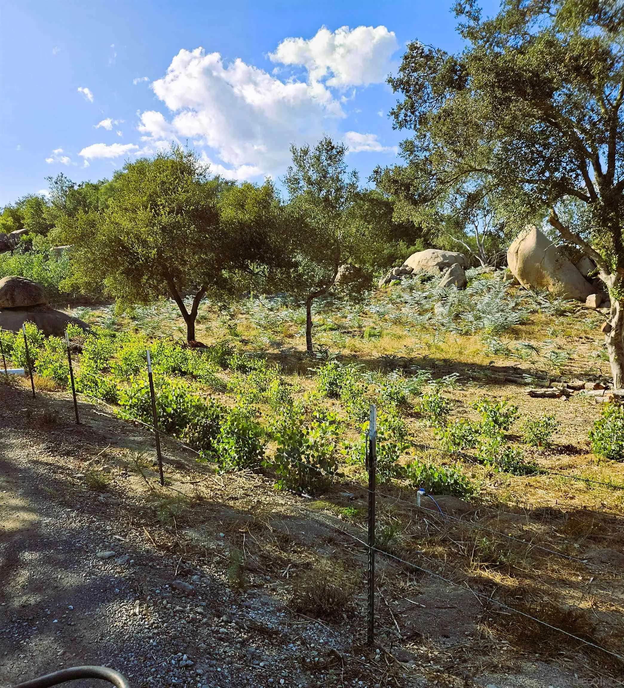 Fallbrook, CA 92028,2562 Donnil Ln #102-081-05-00
