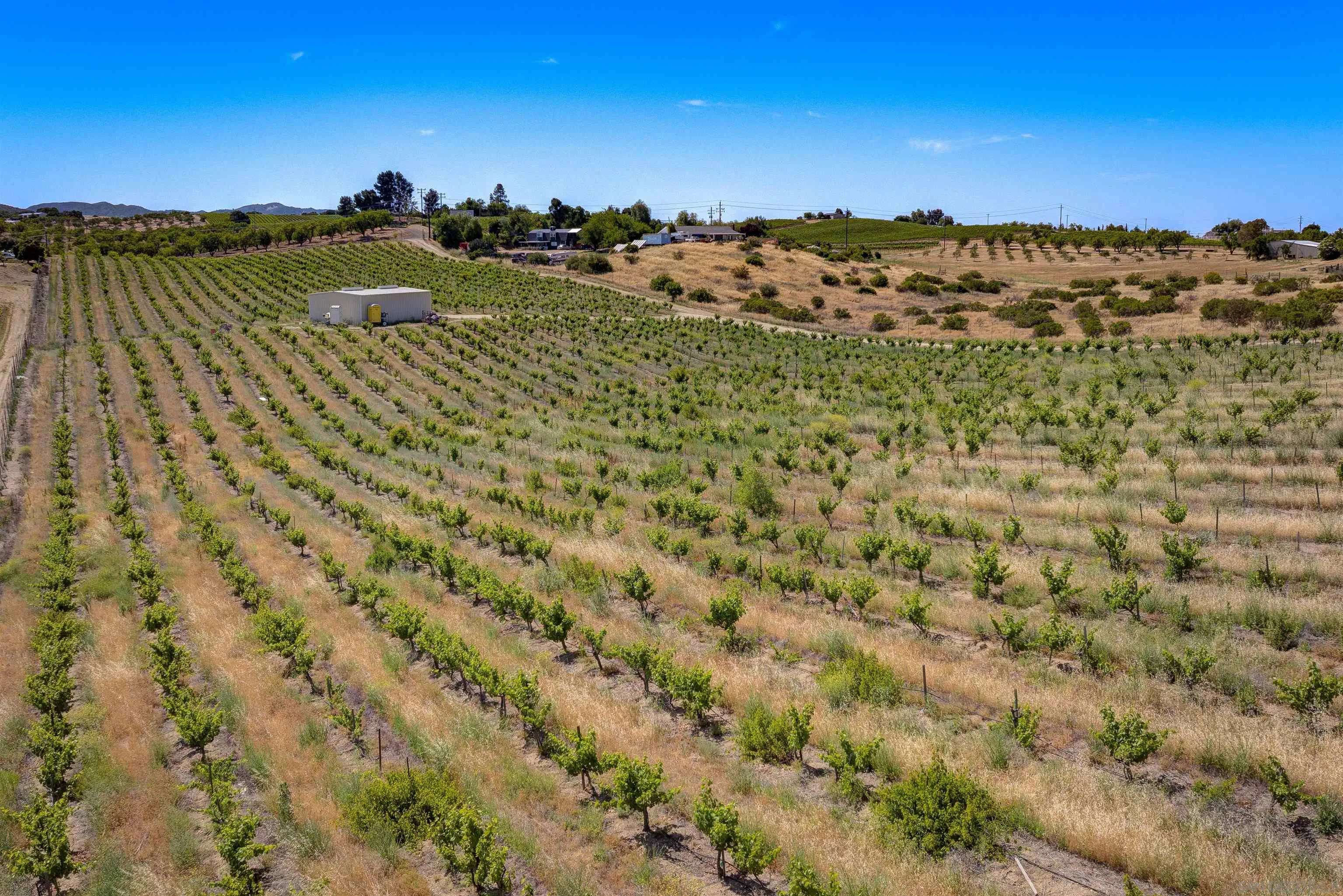 Paso Robles, CA 93446,5720 Vista Serrano Way