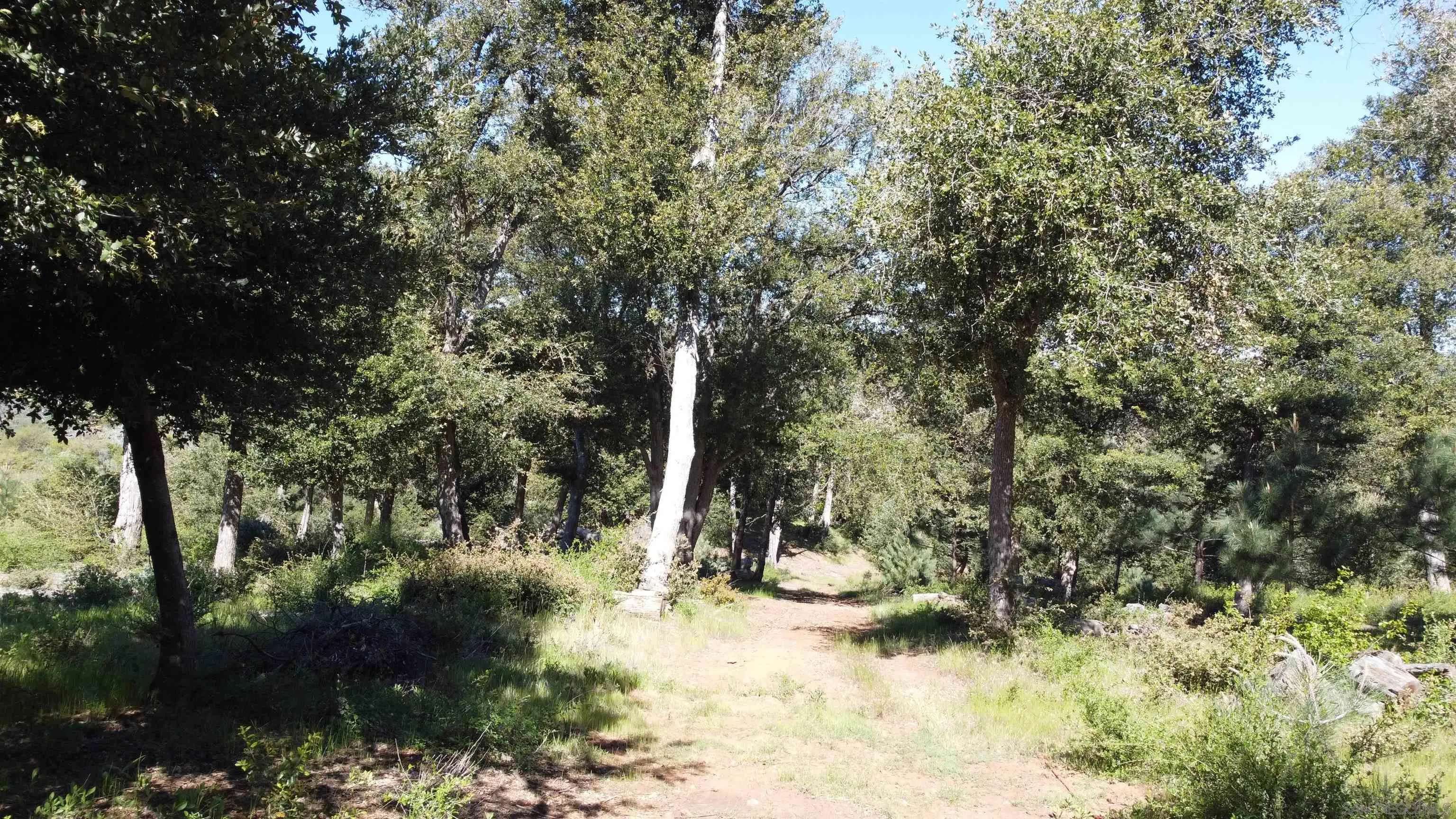 Julian, CA 92036,000 Toyon Mountain Ln #14