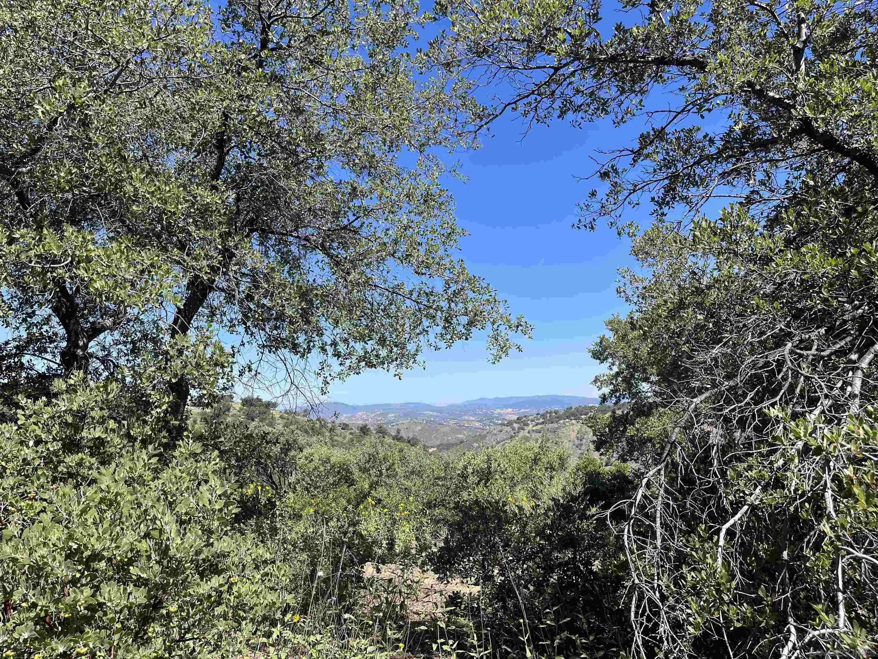 Julian, CA 92036,3890 Eagle Ridge #0
