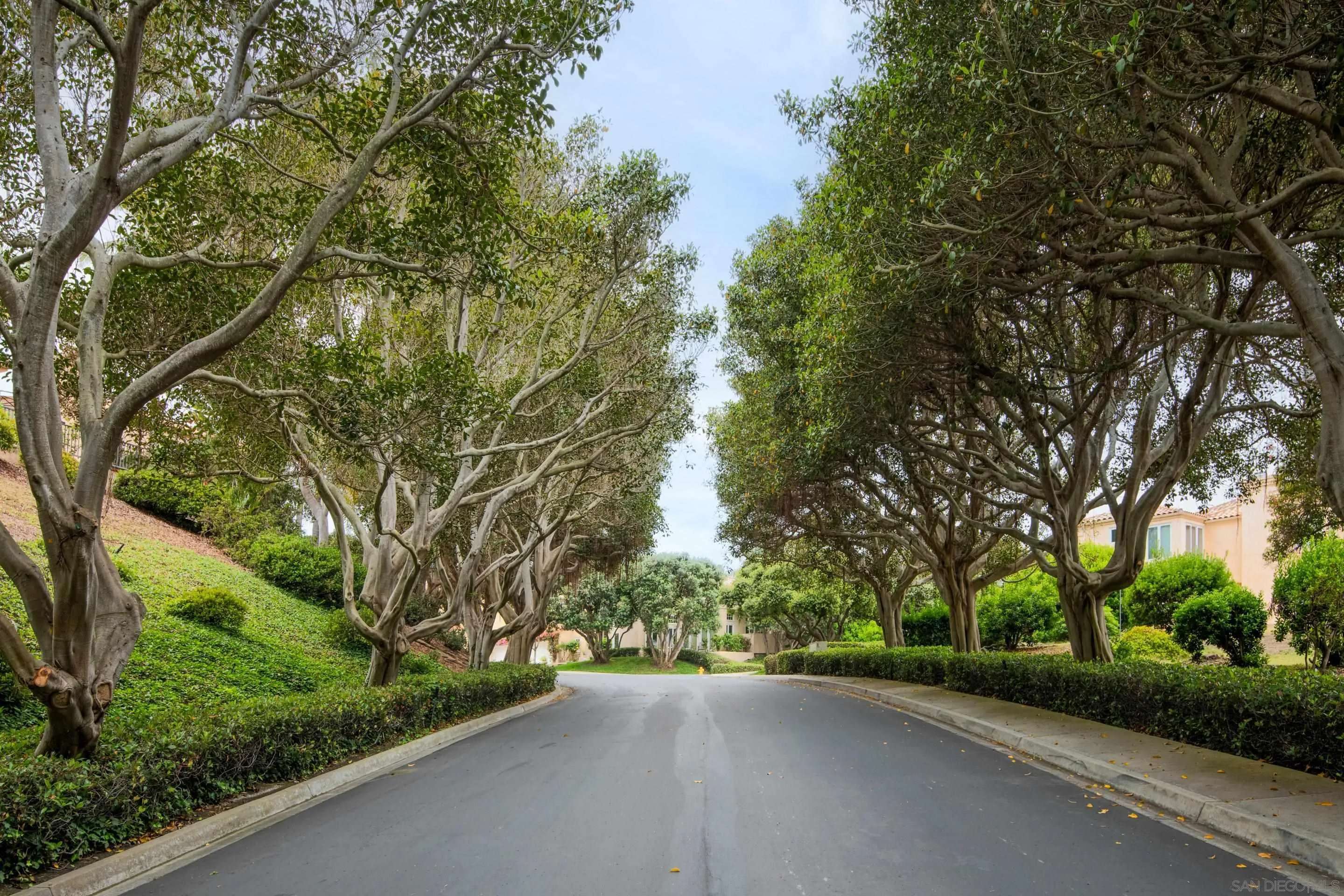 Del Mar, CA 92014,4450 Caminito Tecera
