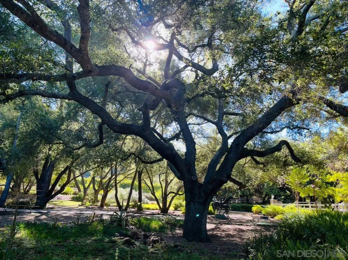 Temecula, CA 92590,45455 Lorenz Ln