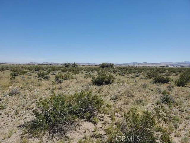 Newberry Springs, CA 92365,0 Autumn Leaf