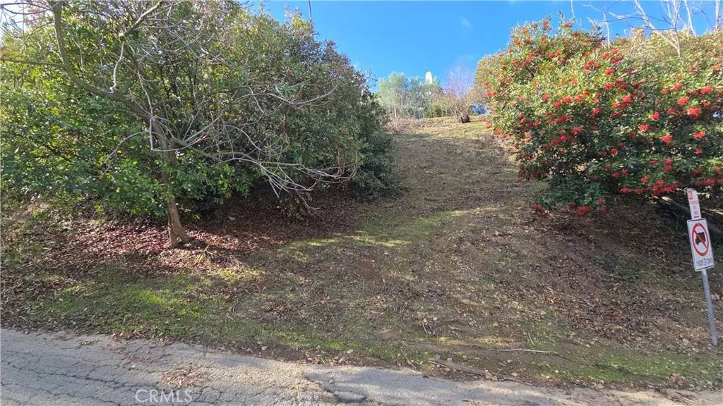 South Pasadena, CA 91030,135 Peterson