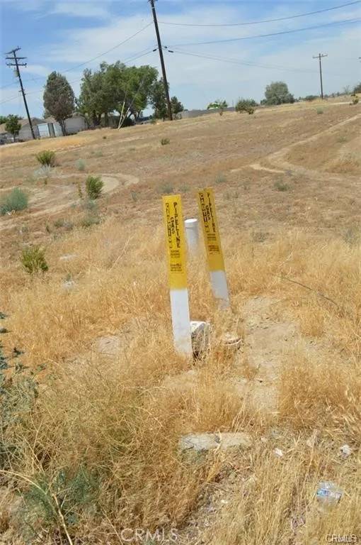 Victorville, CA 92395,0 Green Tree