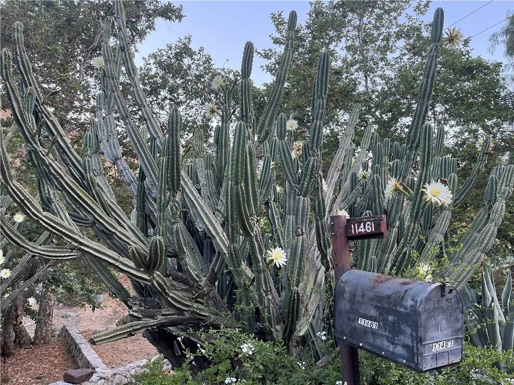 Sunland, CA 91040,11461 Riverwood Drive