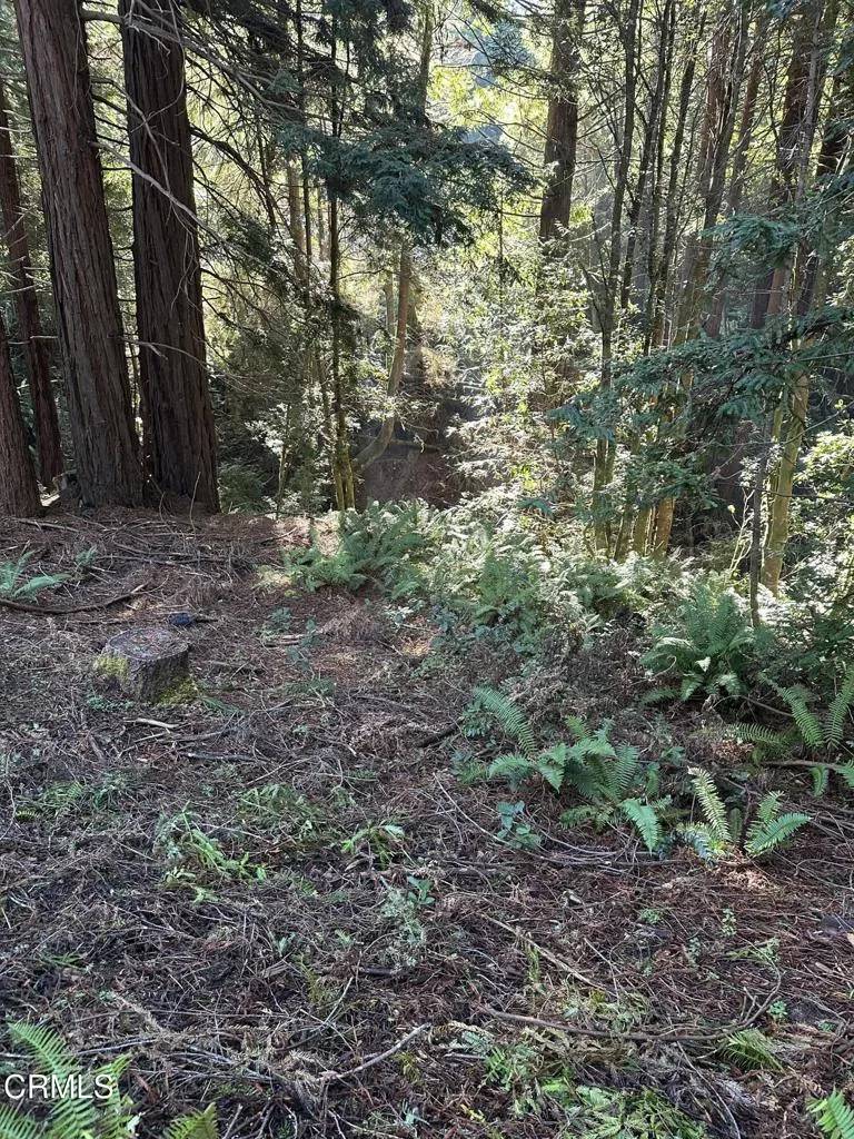 Fort Bragg, CA 95437,17500 Redwood Springs