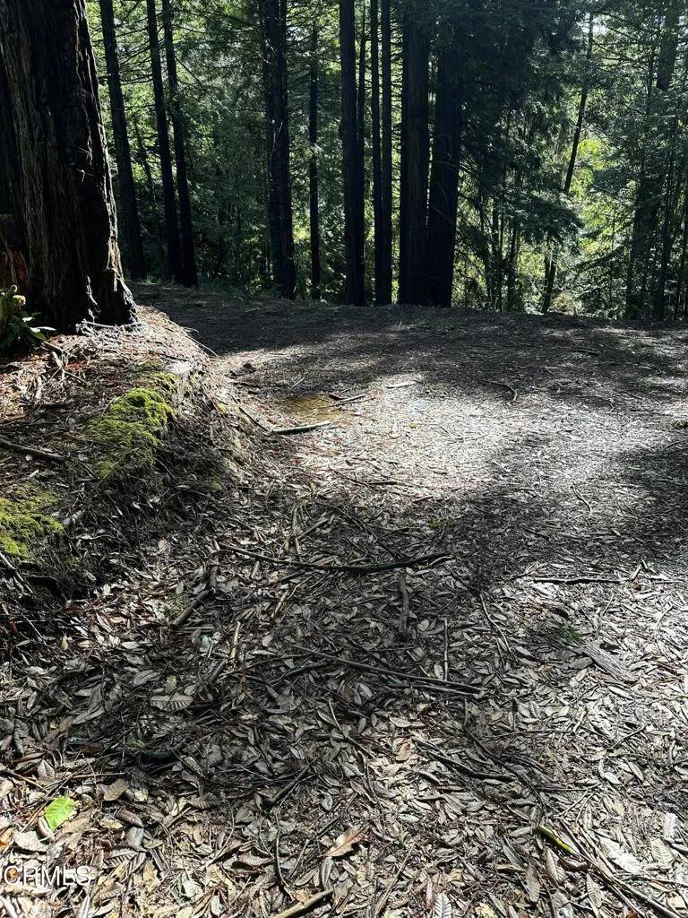 Fort Bragg, CA 95437,17500 Redwood Springs