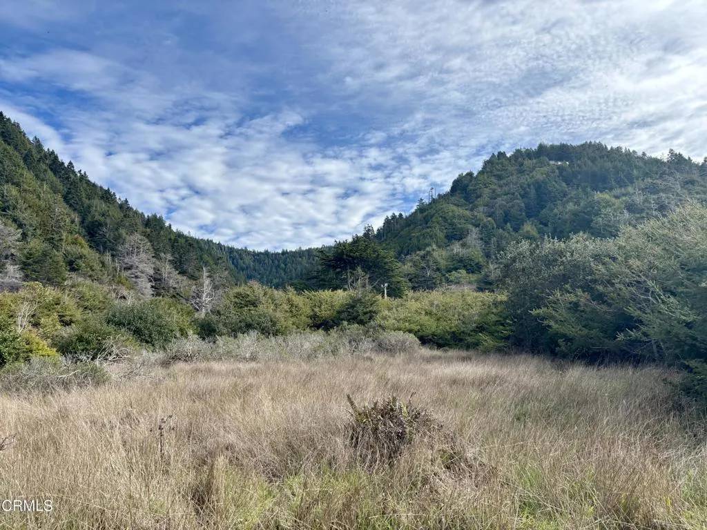 Westport, CA 95488,41151 Seascape