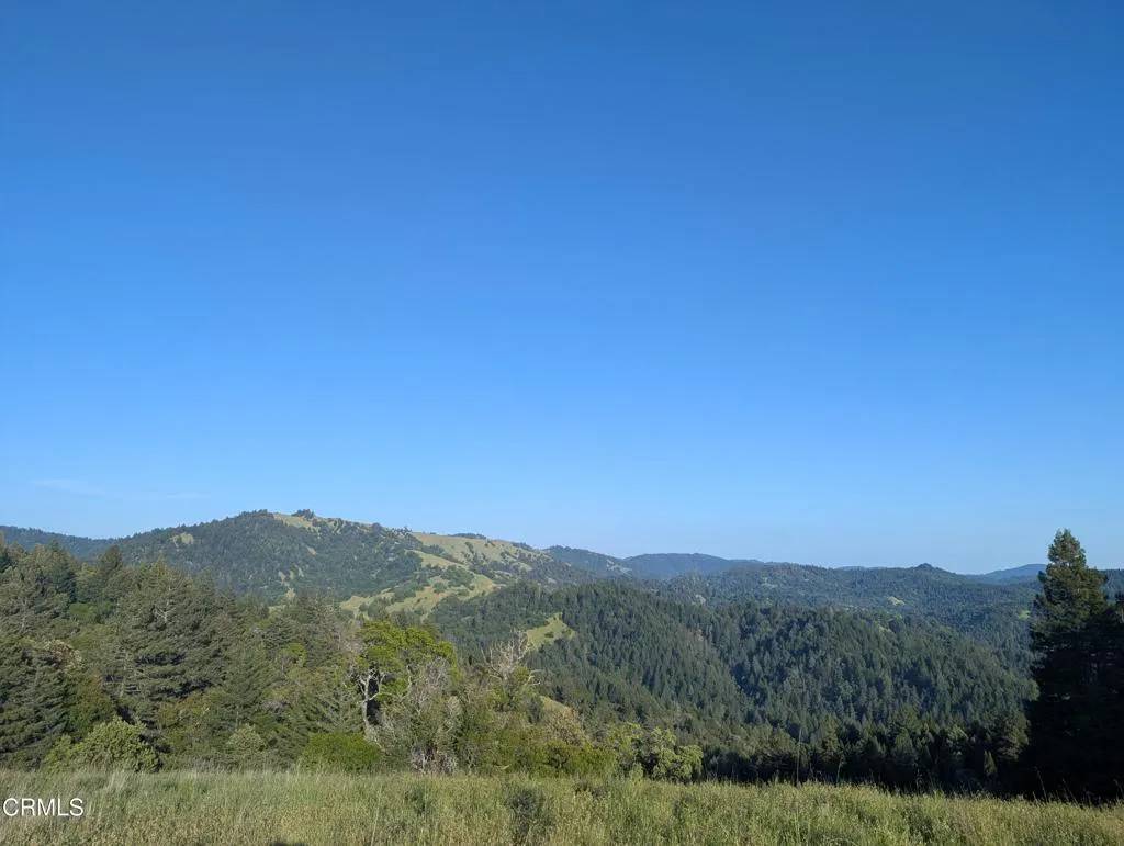 Point Arena, CA 95468,22346 Rickard Ranch