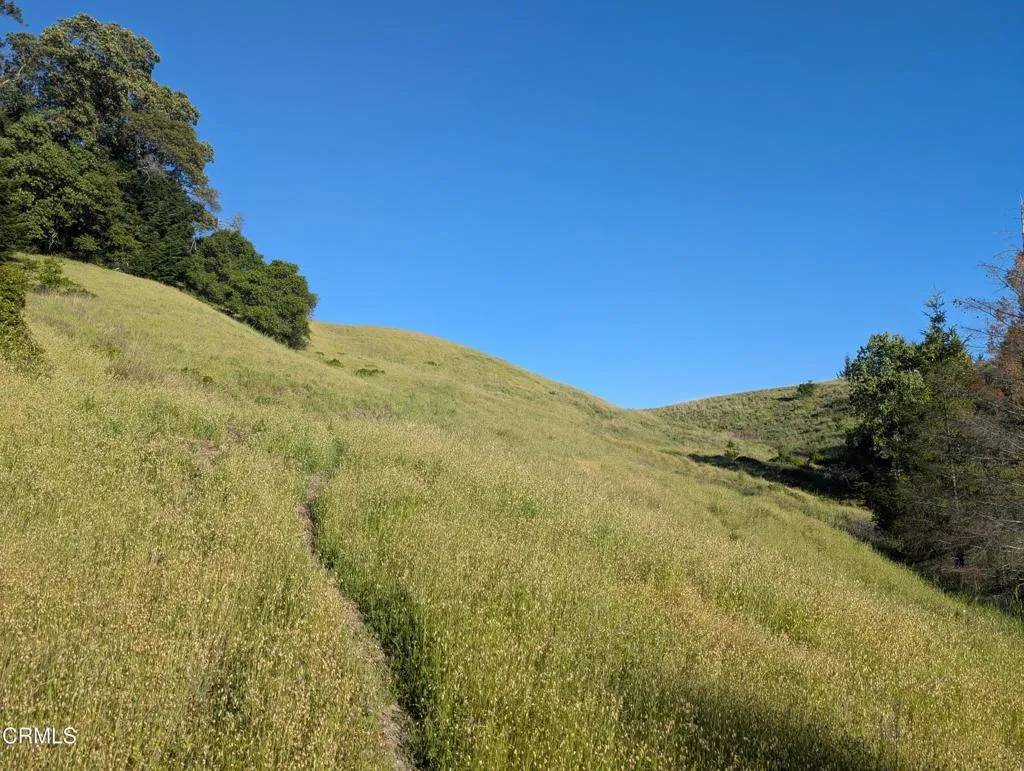 Point Arena, CA 95468,22346 Rickard Ranch