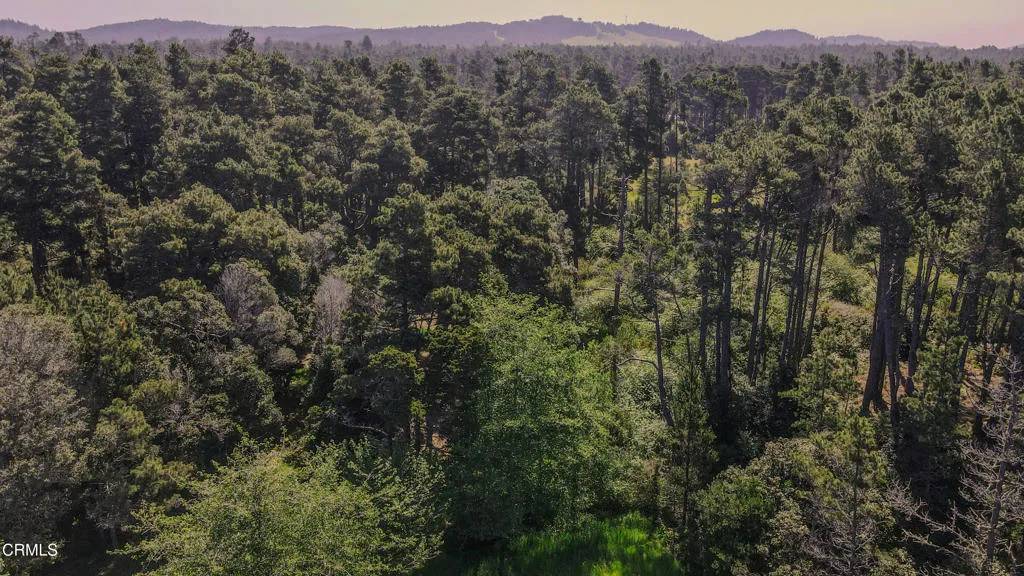 Fort Bragg, CA 95437,23401 Highway 1