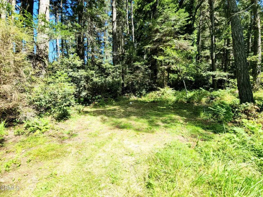 Mendocino, CA 95460,44551 Raven