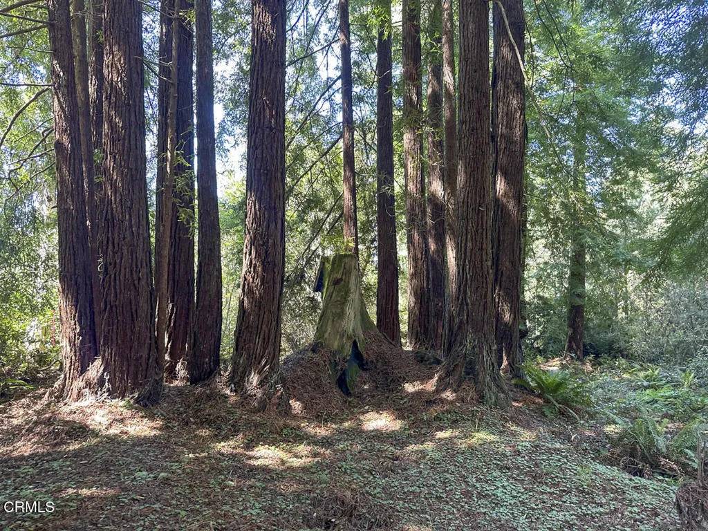 Fort Bragg, CA 95437,31320 Airport
