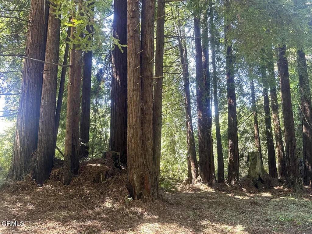 Fort Bragg, CA 95437,31320 Airport