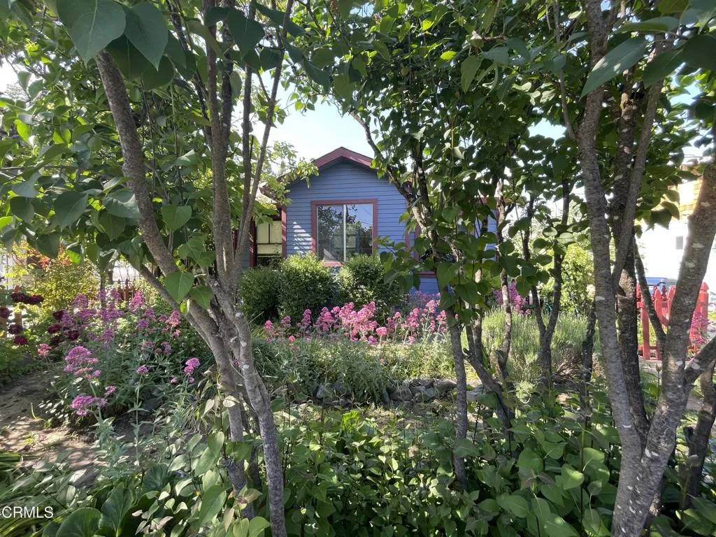 Willits, CA 95490,458 E San Francisco Avenue