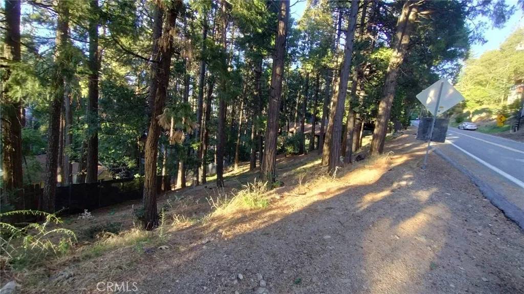 Crestline, CA 92325,0 Crest Forest