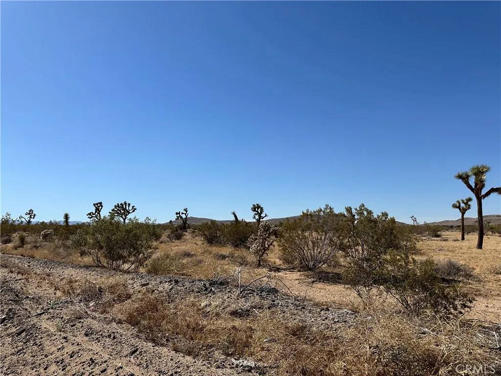 Joshua Tree, CA 92252,0 Aberdeen