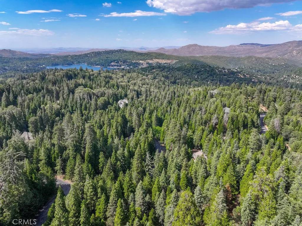 Lake Arrowhead, CA 92352,29191 Pigeon Hawk