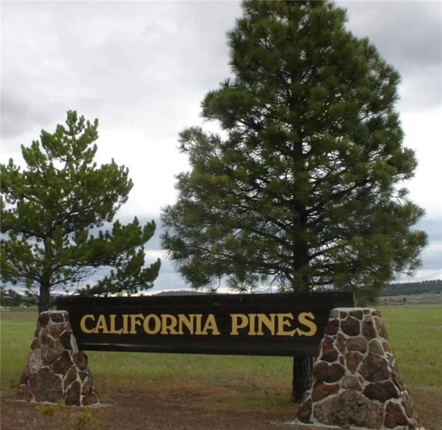 Alturas, CA 96101,0 LOT 22, BLOCK 51-UNIT 3