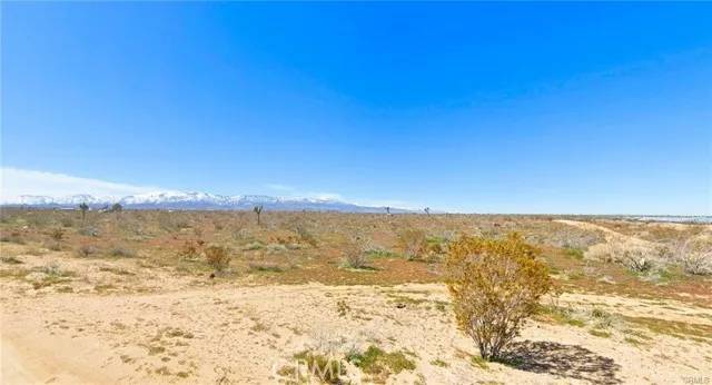 Phelan, CA 92371,0 White