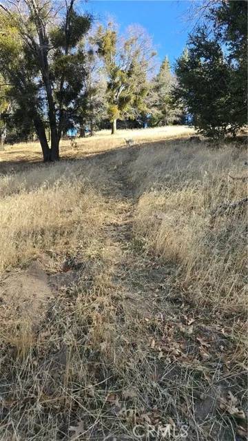 Cedarpines Park, CA 92322,0 Cross