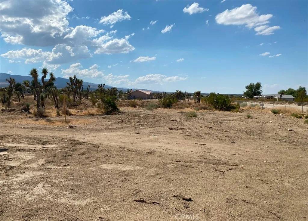 Pinon Hills, CA 92372,1473 goss