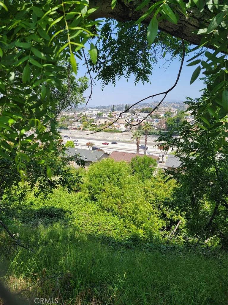 Los Angeles, CA 90063,3717 Woolwine