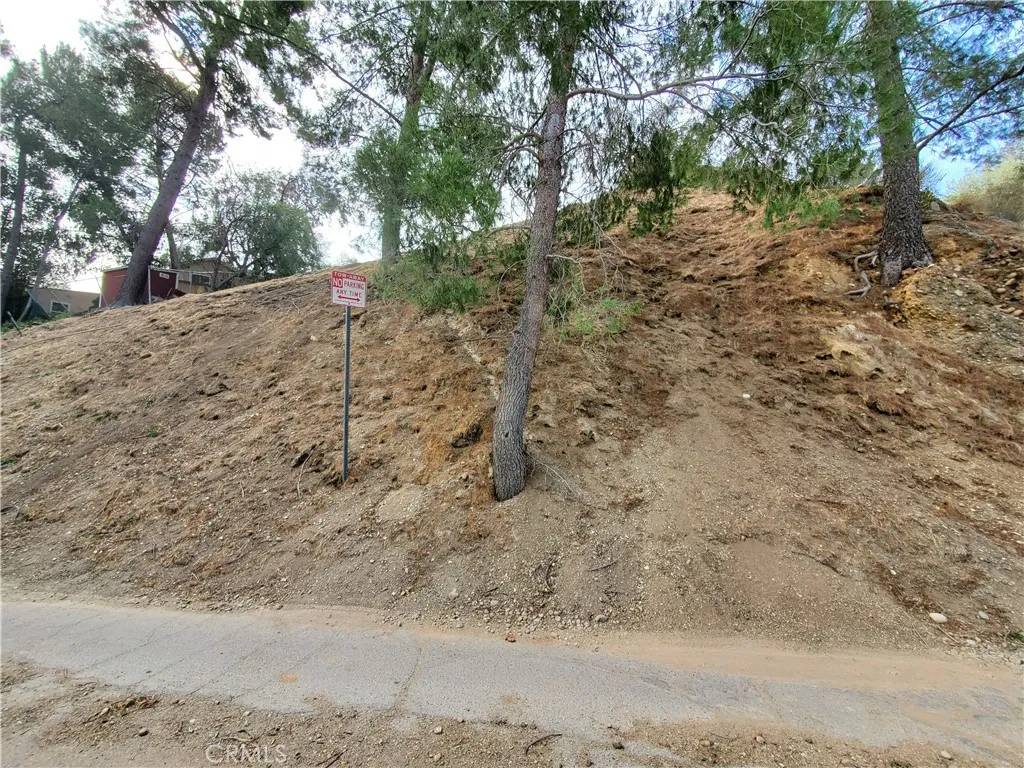 Sunland, CA 91040,7844 Rim Canyon
