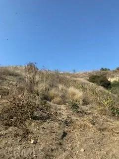 Lincoln Heights, CA 90031,3241 Johnston