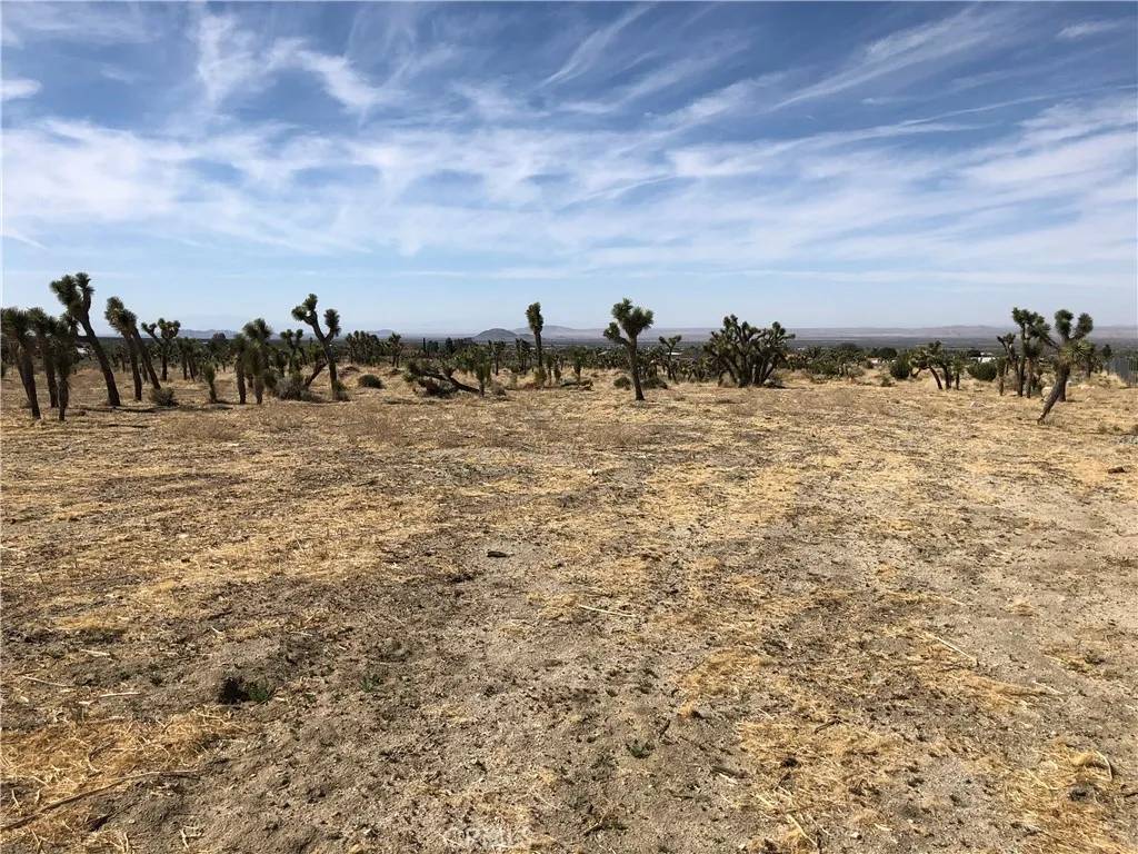 Pinon Hills, CA 92372,0 0