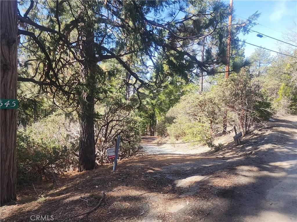 Idyllwild, CA 92549,52547 Pine Cove