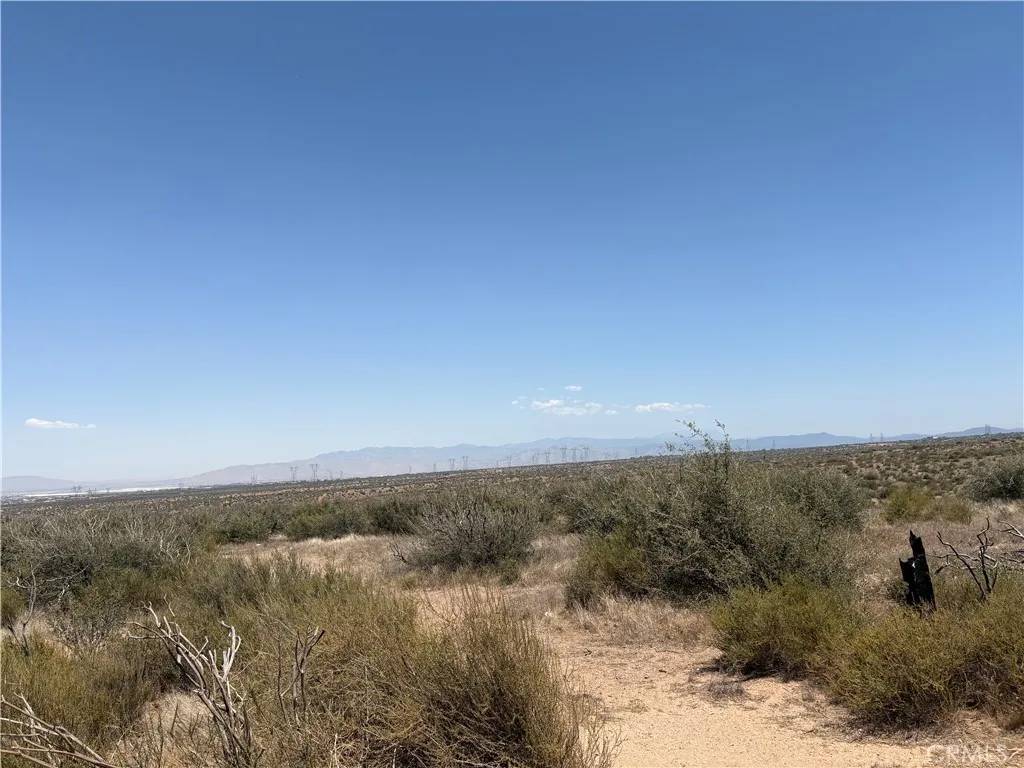 Phelan, CA 92371,0 White