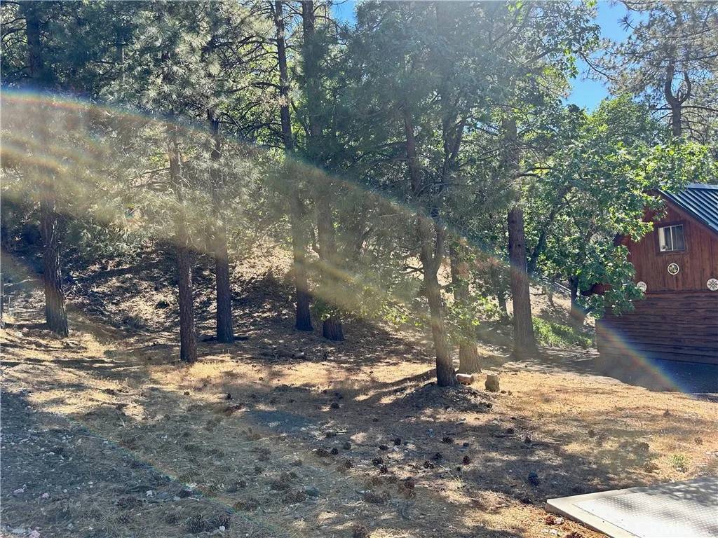 Wrightwood, CA 92397,0 Heath Creek