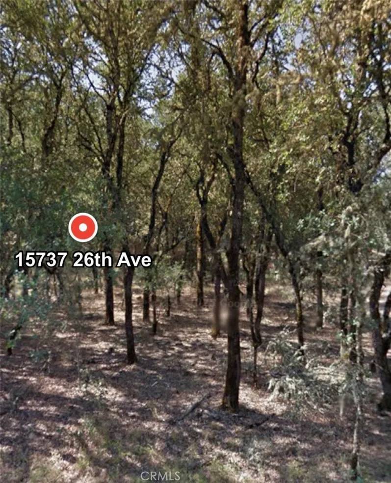 Clearlake, CA 95422,15737 26th