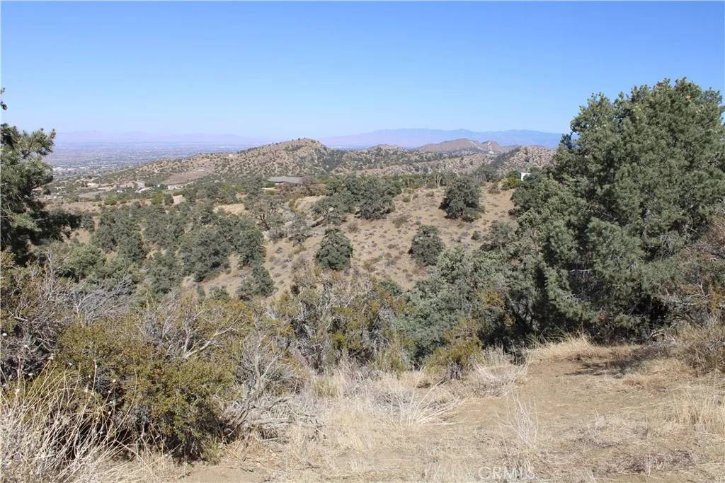 Pinon Hills, CA 92397,7935 Scenic