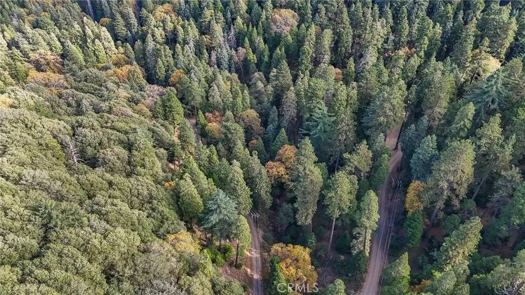 Cedarpines Park, CA 92322,0 Deer Run