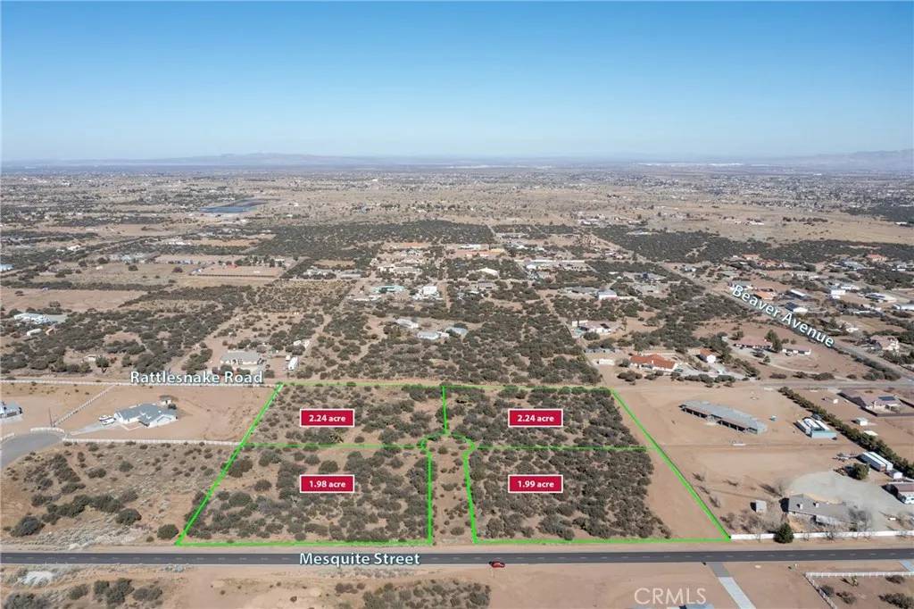 Phelan, CA 92371,1 Rattlesnake