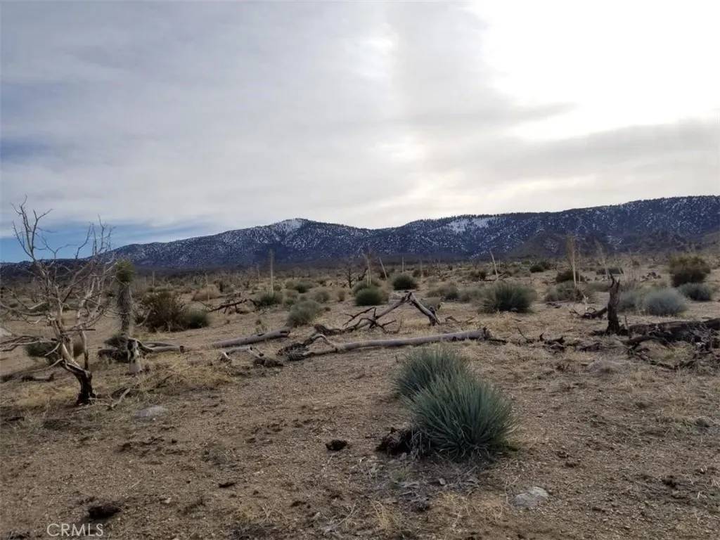 Llano, CA 93544,260 Avenue Z14/260 Ste