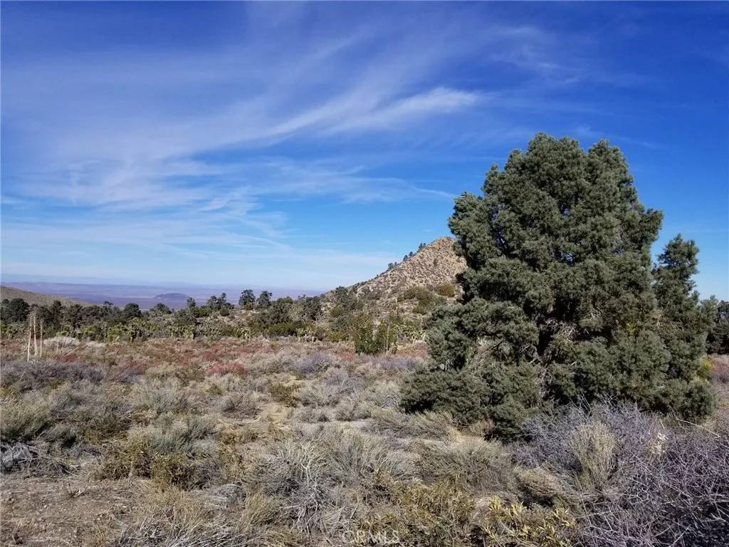 Llano, CA 93544,0 Vac/Vic Avenue Z14/235 Ste