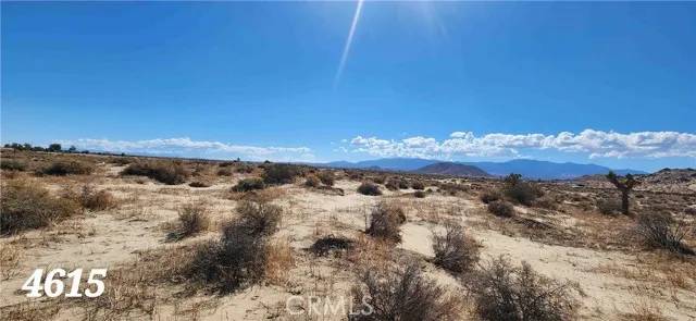 Black Butte, CA 93591,22600 E Avenue P