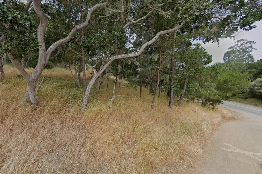 Cambria, CA 93428,2195 Sandown