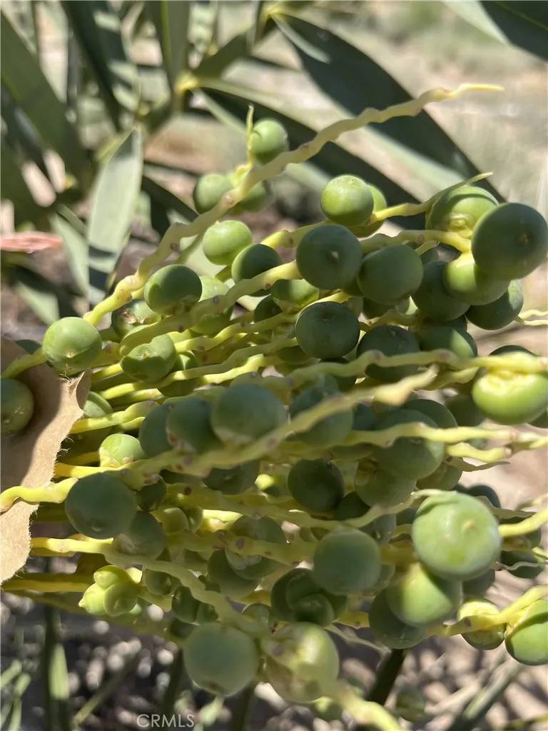 Newberry Springs, CA 92365,44550 Doctrine