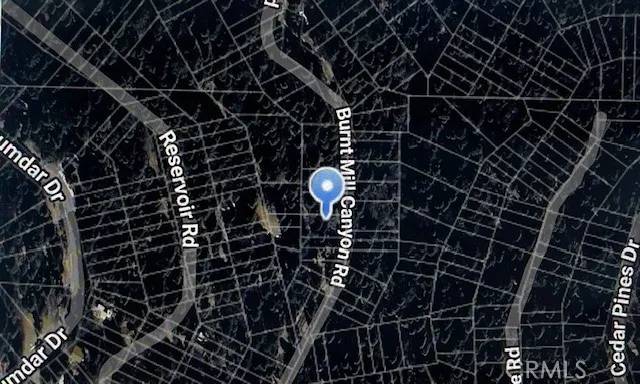 Cedarpines Park, CA 92322,0 Burnt Mill Canyon #20