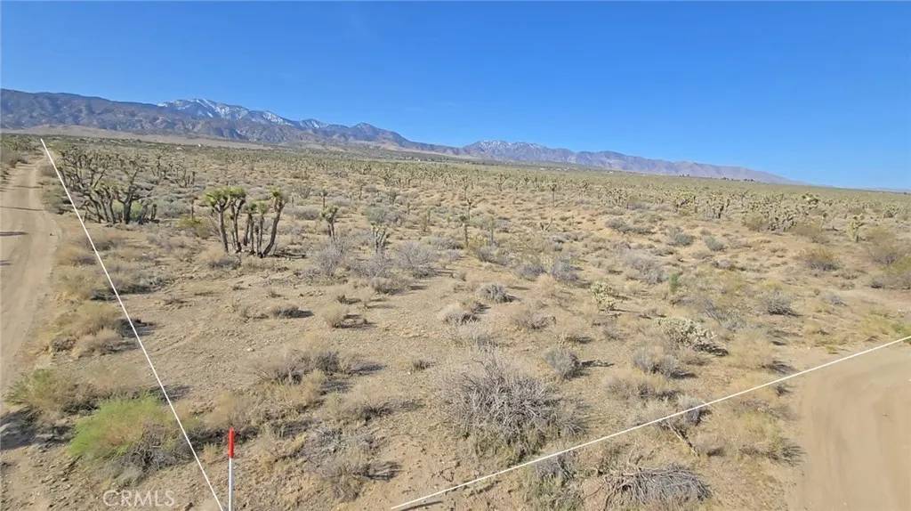 Llano, CA 93544,22000 Avenue X